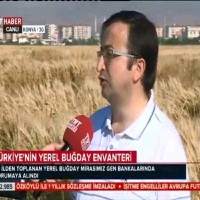 MURAT KÜÇÜKÇONGAR