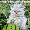 W T