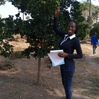 Awa Kouressacou BAYE