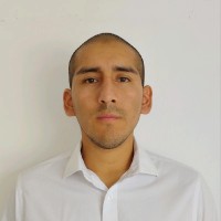 Alexander Javier Flores Avila