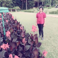 KRISHNA PRIYA K P