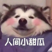 赵新艳