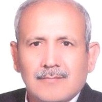 Mohammad Mahdi Toofaninejad