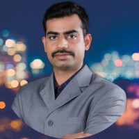 Vignesh Kumar N