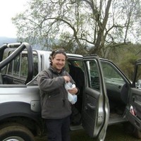 Fabian Mastrogiudice