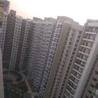 Ankit Rihl