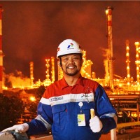 Mohammad Fitrawan Nur