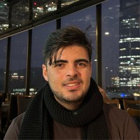 Davi Henrique Machado Da Silveira
