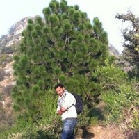 Ali iffi