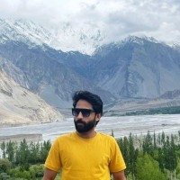 Waqar Ul hassan
