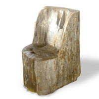 Petrified wood Indonesia