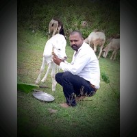 Shivappa Appoji