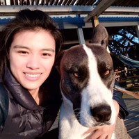 李亚敏