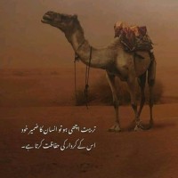 Rayan Ali