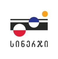 Synergy Capital Growth Company