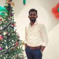 Mowli Krishnaa