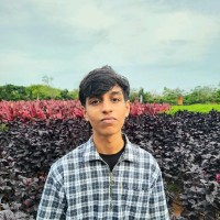 Ananth Krishnan