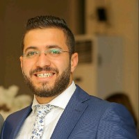 Mahmoud Ashraf Al Gendy