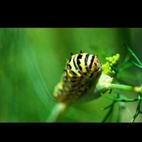Test4 China