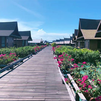 孙海静