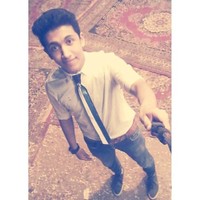 Karim E. Gaber