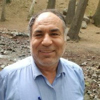 Reza Behjat