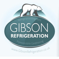 Steve Gibson