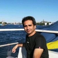 Seyed Mohsen Hoseyni