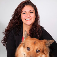 Sandy Lomeli DVM
