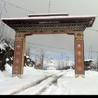 T Dorji