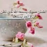 هبة أحمد