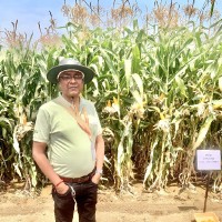 Alok Kanungo
