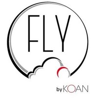 Fly by Koan