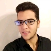 Mohamed Samir Ali