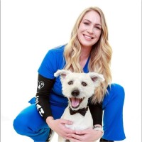 Sarah Stonestreet
