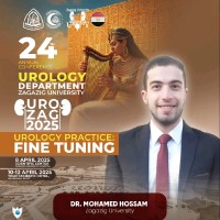 Mohammed Hossam