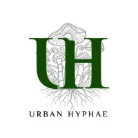 Urban Hyphae