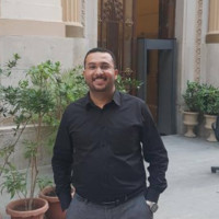 hassan abdelhamid