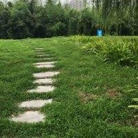 翟继增