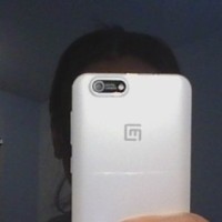 Primrose Mary Ann P Teves