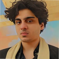 Arjin Roni Şimşek