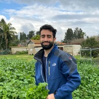 Nadav Halali