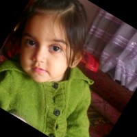 Nasih Atal