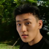 Shicheng Li