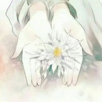 曹会兵