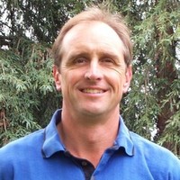 Tom Vischer