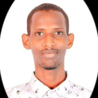 Kulmiye Abdi