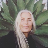 trudi forristal