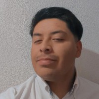 Mauricio Jesus Camorlinga Espinoza