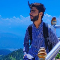 Hamid Ali Malik